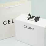 ‏Gift Box ‏CELINE ‏Master quality