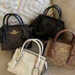 COACH Andrea Mini Carryall