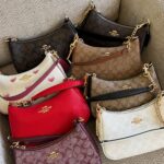 COACH Teri Shoulder Bag