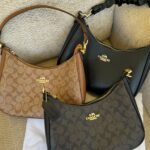 Coach Teri Hobo Bag
