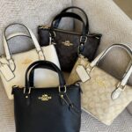 Coach Mini Gallery Crossbody