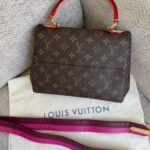 Louis Vuitton Monogram Cluny