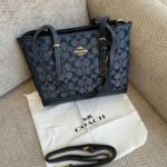 Coach Mollie Tote 25 in Signature Denim