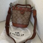 Coach Mini Town Bucket Bag in Signature Canvas