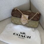 Coach Morgan Crossbody in Blocked Signature Canvas