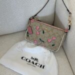 Coach Nolita 19 In Signature Canvas With Heart Cherry Print