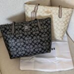 Coach Fiona Zip Tote Bag