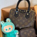 Louis Vuitton Set Leather(4)