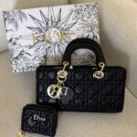 Dior Lady D-Joy bag with wallet