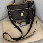 Louis Vuitton Vanity Chain Pouch in Monogram canvas