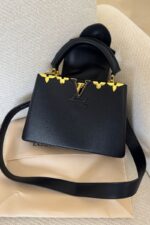 Louis Vuitton Capucines MM bag