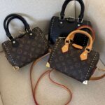 Louis Vuitton Monogram Shadow Speedy Trunk handbag