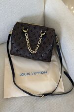 Louis Vuitton Speedy Bandoulière 25 from the Monogram Sequins collection