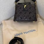 Louis Vuitton Capucines Mini handbag, featuring black Taurillon leather