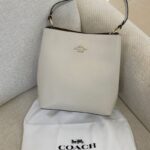Coach Town Bucket Bag in Chalk White