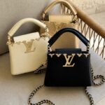 Louis Vuitton Capucines Mini