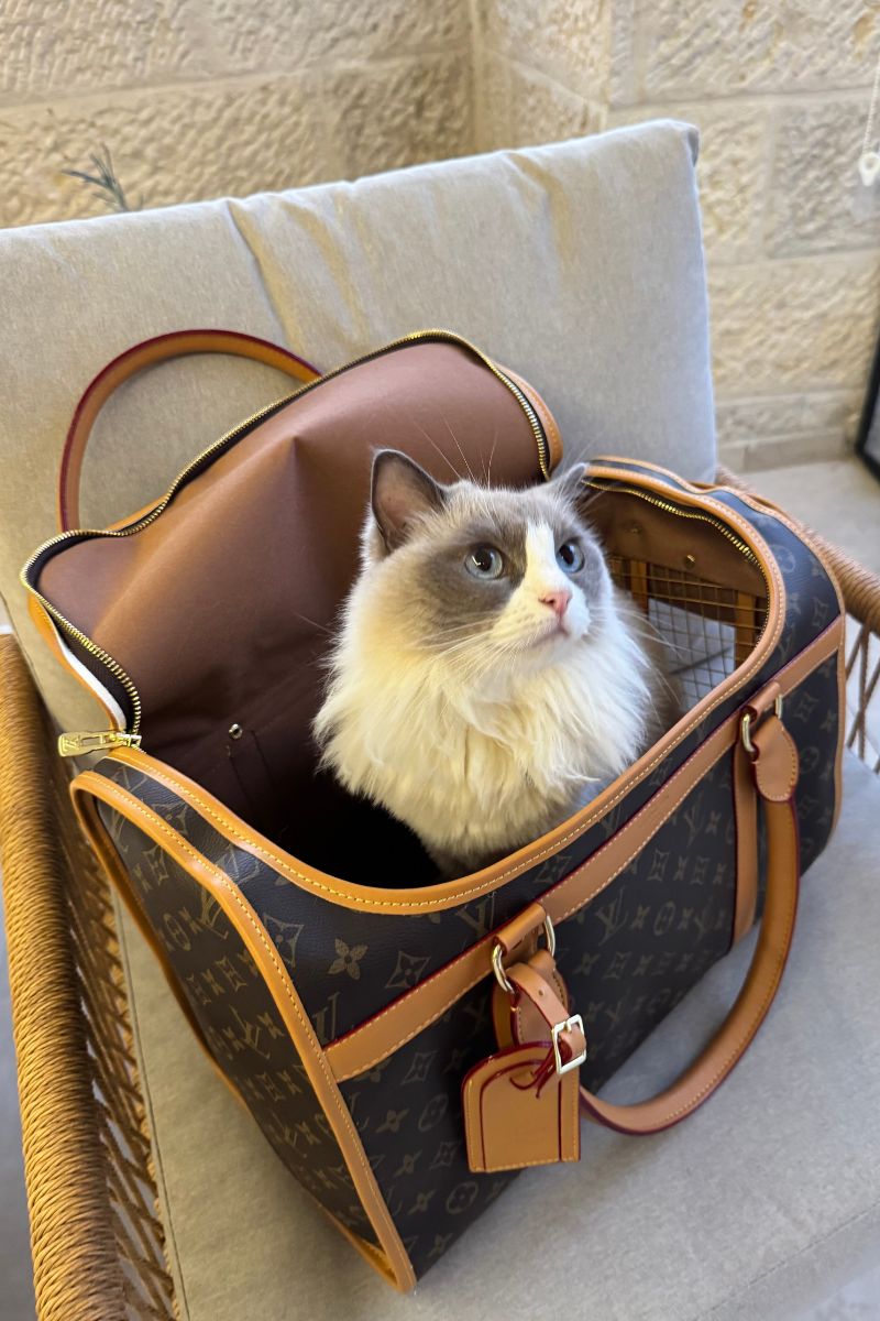 2 Cat,Dog Bag Monogram Canvas - الصورة 1