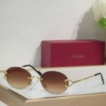 These Cartier CT0551S sunglasses