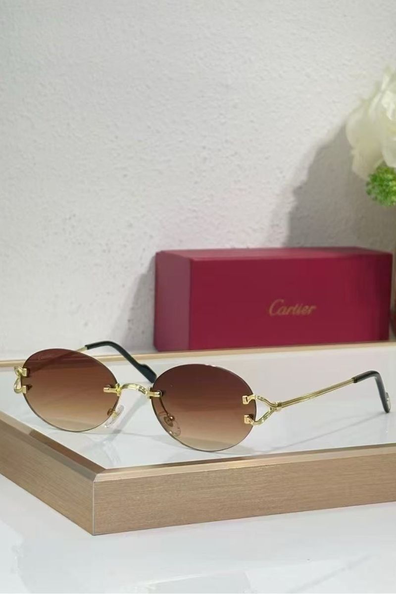 42 These Cartier CT0551S sunglasses - الصورة 1