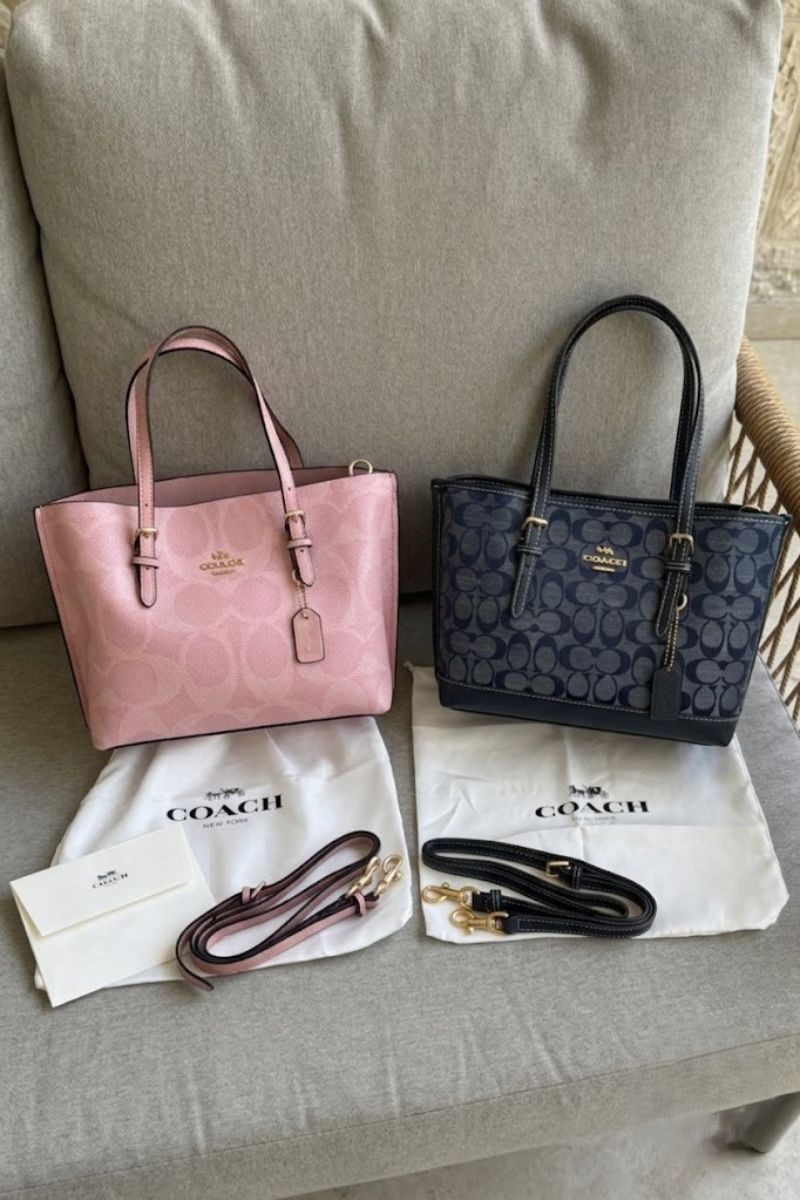 Untitled design - 1 Coach Mollie Tote 25 P/N - תמונה 1