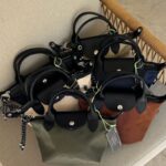 Longchamp Le Pliage Energy XS Handbag